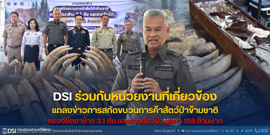 DSI ร่วมกับหน่วยงานที่เกี่ยวข้อง แถลงข่าวการสกัดขบวนการค้าสัตว์ป่าข้ามชาติ ตรวจยึดงาช้าง 3.1 ตัน และซากสัตว์ป่า มูลค่า 155 ล้านบาท