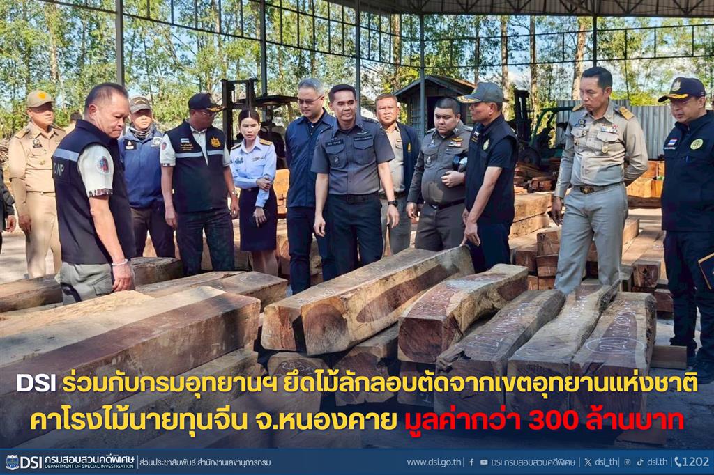 DSI ร่วมกับกรมอุทยานฯ ยึดไม้ลักลอบตัดจากเขตอุทยานแห่งชาติ คาโรงไม้นายทุนจีน จ.หนองคาย มูลค่ากว่า 300 ล้านบาท