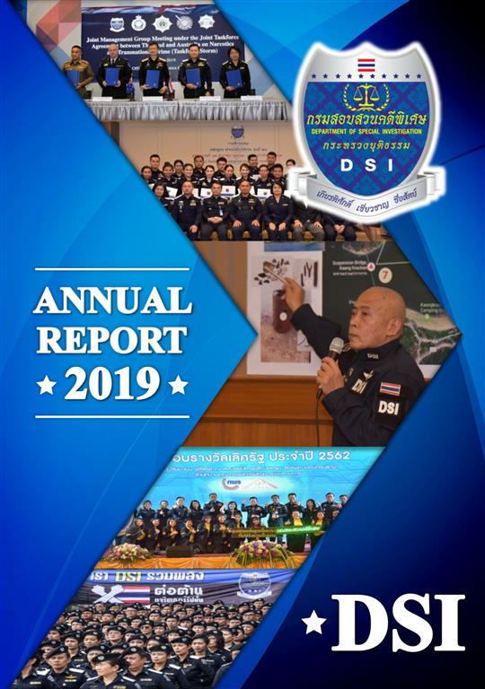 DSI Annual Report 2019