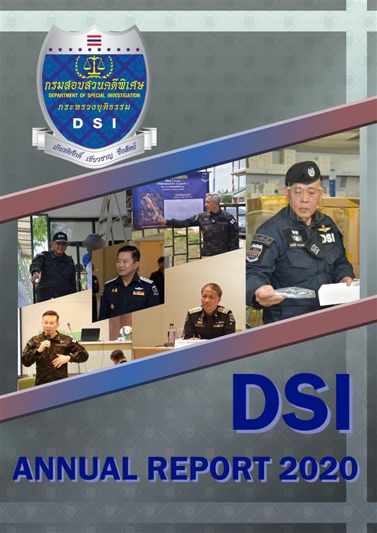 DSI Annual Report 2020